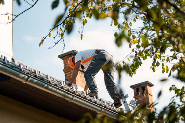 Best Flat Roofing  in Perezville, TX